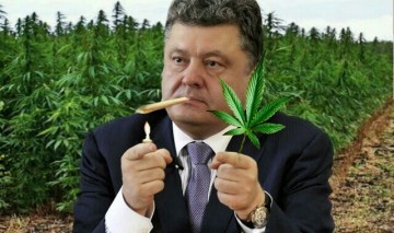 С кем Порошенко собрался партизанить?