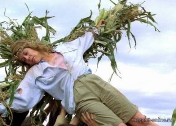 Дети кукурузы: ЗСТ с Канадой ставит крест на украинской промышленности