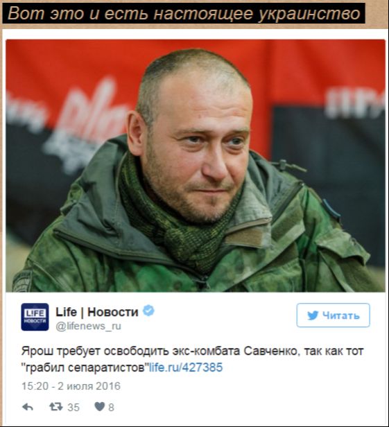 "Мыздобулы" в картинках. Смешных и не очень... 02-07-2016 "Мыздобулы" в картинках. Смешных и не очень... 02-07-2016