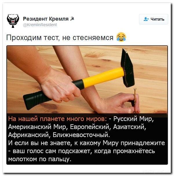 "Мыздобулы" в картинках. Смешных и не очень... 02-07-2016 "Мыздобулы" в картинках. Смешных и не очень... 02-07-2016