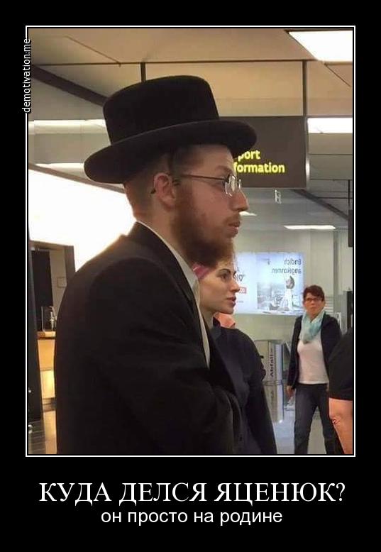 "Мыздобулы" в картинках. Смешных и не очень... 02-07-2016 "Мыздобулы" в картинках. Смешных и не очень... 02-07-2016