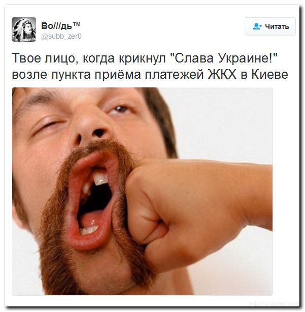 "Мыздобулы" в картинках. Смешных и не очень... 02-07-2016 "Мыздобулы" в картинках. Смешных и не очень... 02-07-2016