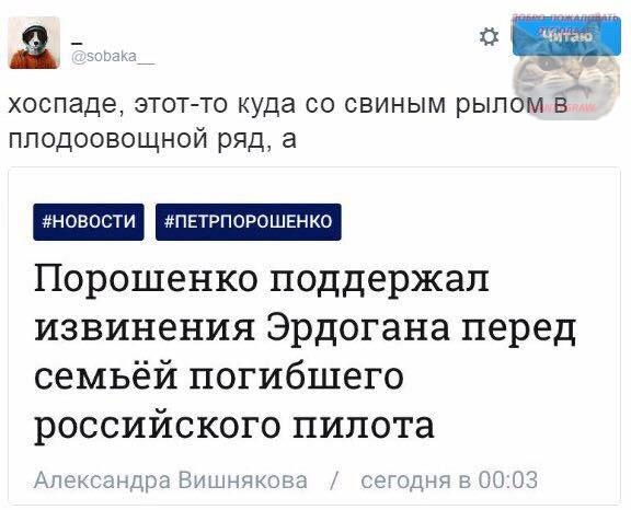 "Мыздобулы" в картинках. Смешных и не очень... 02-07-2016 "Мыздобулы" в картинках. Смешных и не очень... 02-07-2016