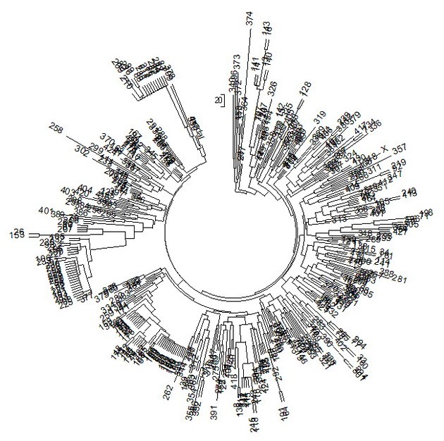 Московская лаборатория ДНК-генеалогии начала работу!