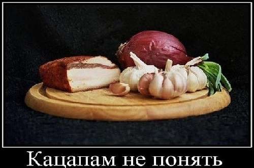 Русскоязычная прислуга свидомых рагулей. Александр Роджерс Русскоязычная прислуга свидомых рагулей. Александр Роджерс