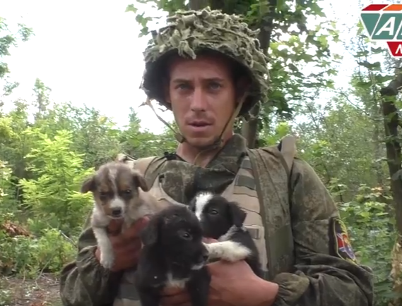 На линии фронта. Подборка видео из Новороссии 4-07-2016