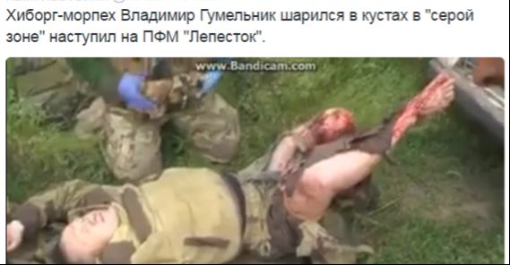 Потерь НЕТ - терять некого! Потери укрофашистов с 1 по 30 июня (Фото)