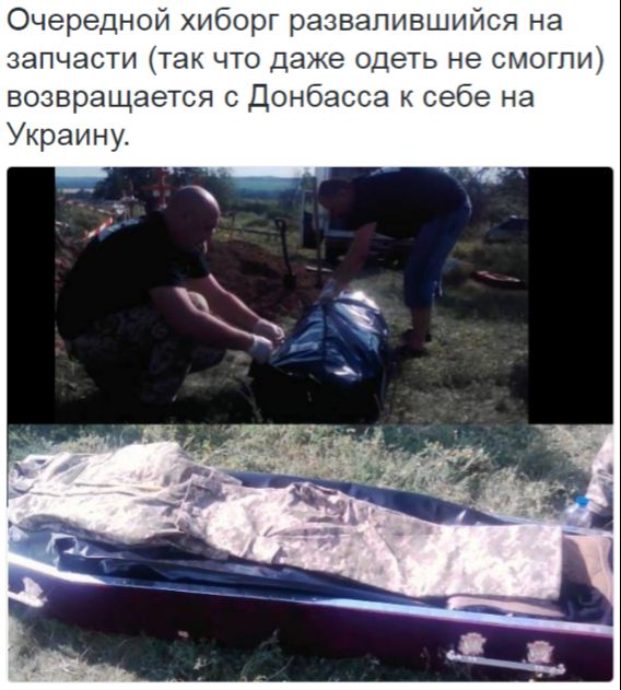 Потерь НЕТ - терять некого! Потери укрофашистов с 1 по 30 июня (Фото)