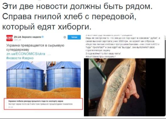 Потерь НЕТ - терять некого! Потери укрофашистов с 1 по 30 июня (Фото)