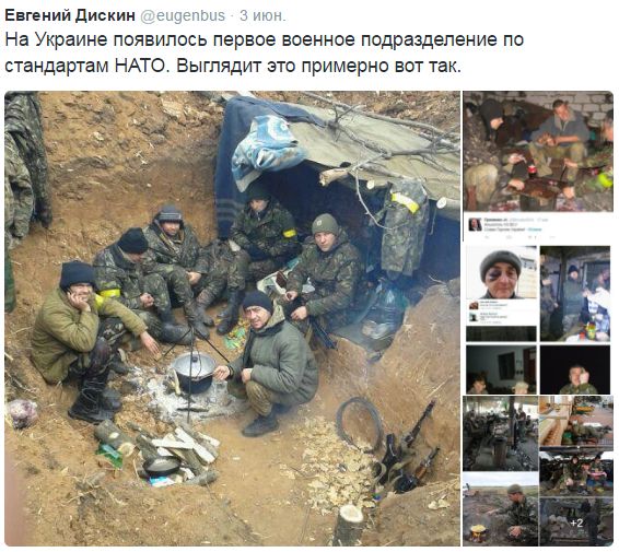 Потерь НЕТ - терять некого! Потери укрофашистов с 1 по 30 июня (Фото)