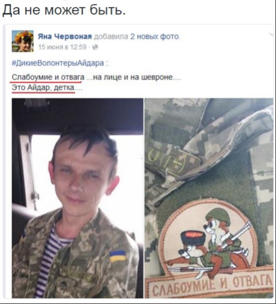 Потерь НЕТ - терять некого! Потери укрофашистов с 1 по 30 июня (Фото)