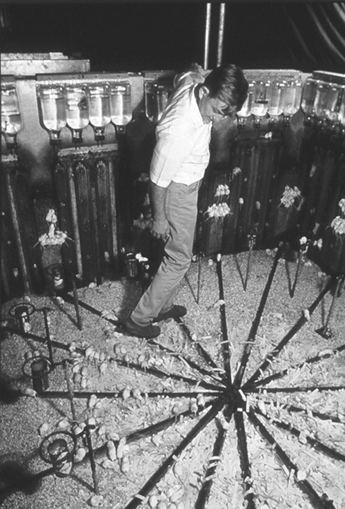 Эксперимент «Вселенная-25»: как рай стал адом Эксперимент «Вселенная-25»: как рай стал адом