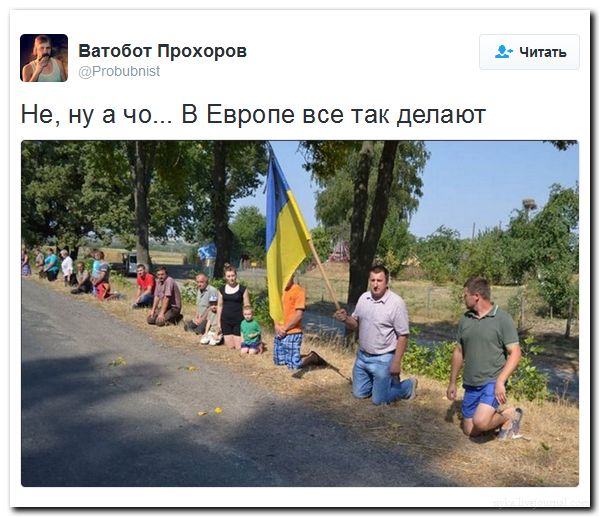 "Мыздобулы" в картинках. Смешных и не очень... 06-07-2016