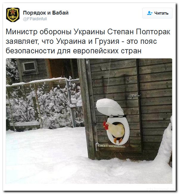 "Мыздобулы" в картинках. Смешных и не очень... 06-07-2016