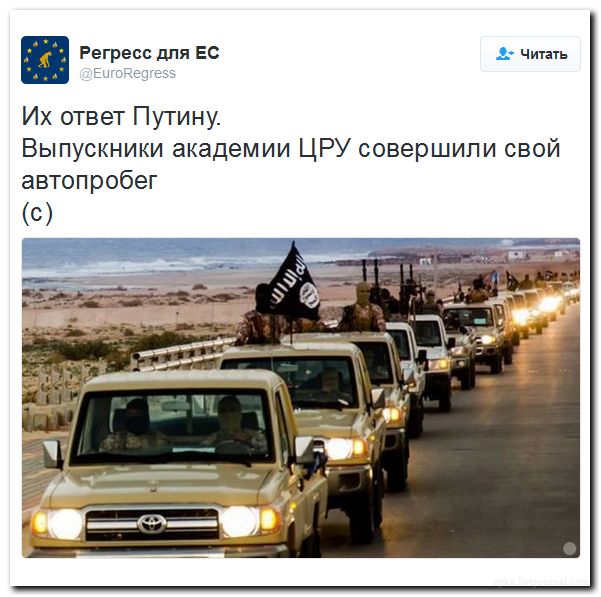 "Мыздобулы" в картинках. Смешных и не очень... 06-07-2016