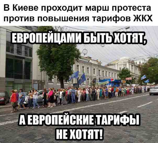 "Мыздобулы" в картинках. Смешных и не очень... 06-07-2016