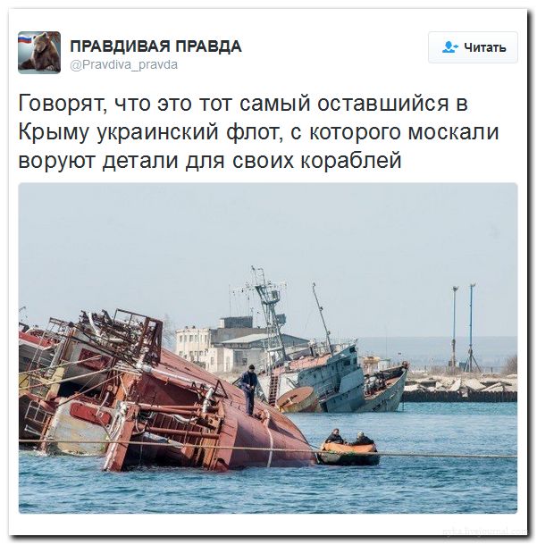 "Мыздобулы" в картинках. Смешных и не очень... 06-07-2016