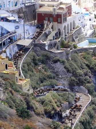 Про людей и ослов. Непатриотические размышления Про людей и ослов. Непатриотические размышления