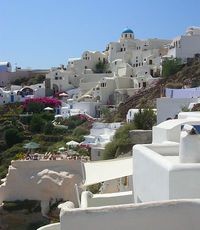 Про людей и ослов. Непатриотические размышления