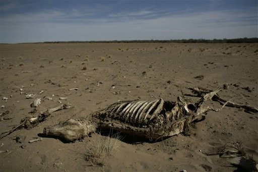 В Латвии бьют тревогу вымираем!