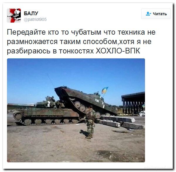 "Мыздобулы" в картинках. Смешных и не очень... 18-07-2016