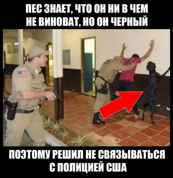 "Мыздобулы" в картинках. Смешных и не очень... 18-07-2016