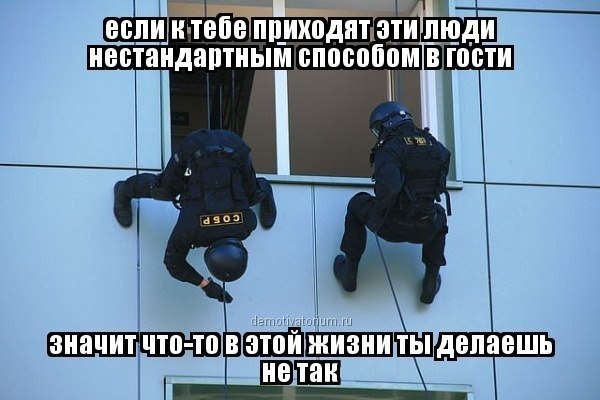 "Мыздобулы" в картинках. Смешных и не очень... 18-07-2016