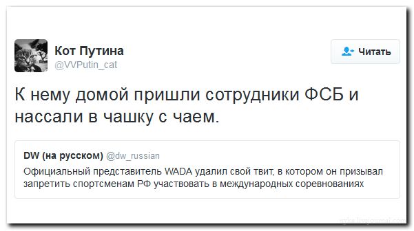 "Мыздобулы" в картинках. Смешных и не очень... 19-07-2016 "Мыздобулы" в картинках. Смешных и не очень... 19-07-2016