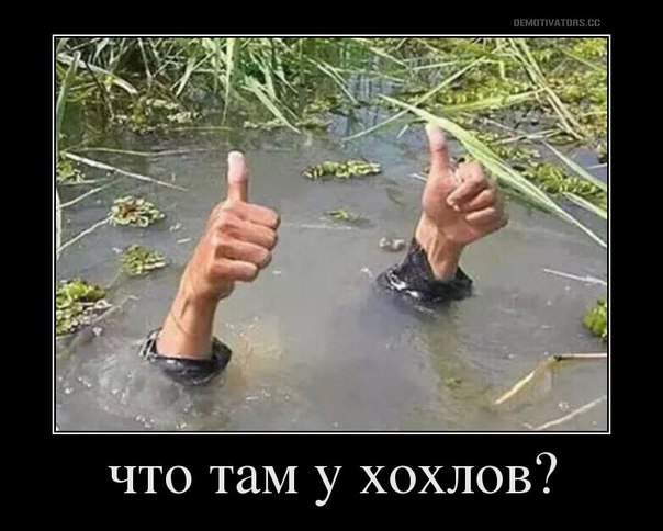 "Мыздобулы" в картинках. Смешных и не очень... 19-07-2016