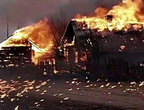 Соотношение советских и немецких потерь убитыми в первый год войны. Соотношение советских и немецких потерь убитыми в первый год войны.