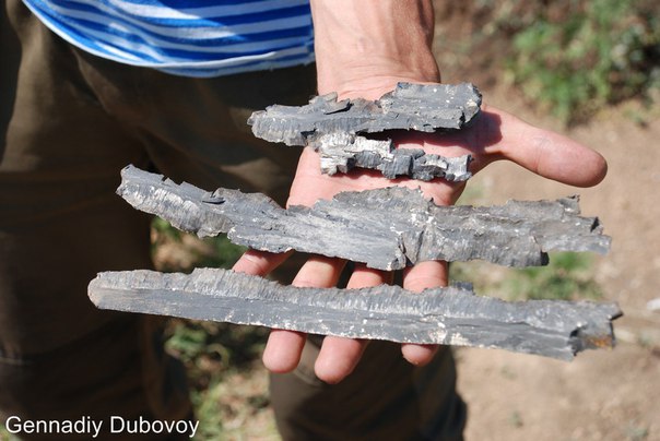 На линии фронта. Подборка видео из Новороссии 24-07-2016