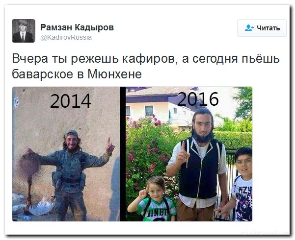 "Мыздобулы" в картинках. Смешных и не очень... 25-07-2016 "Мыздобулы" в картинках. Смешных и не очень... 25-07-2016