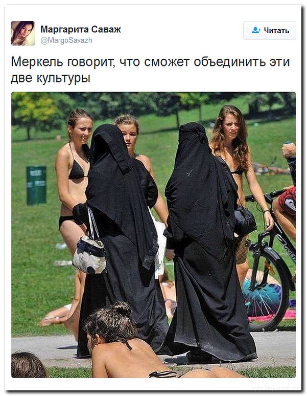 "Мыздобулы" в картинках. Смешных и не очень... 25-07-2016 "Мыздобулы" в картинках. Смешных и не очень... 25-07-2016