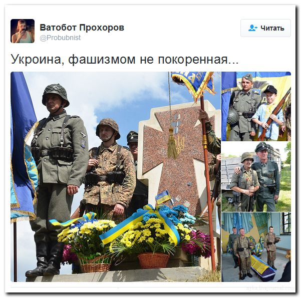 "Мыздобулы" в картинках. Смешных и не очень... 27-07-2016