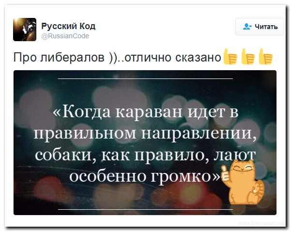 "Мыздобулы" в картинках. Смешных и не очень... 27-07-2016