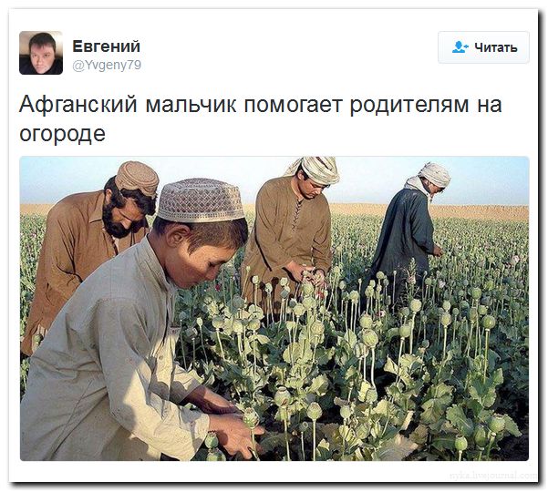 "Мыздобулы" в картинках. Смешных и не очень... 27-07-2016