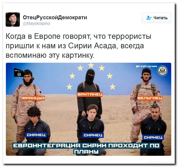 "Мыздобулы" в картинках. Смешных и не очень... 27-07-2016