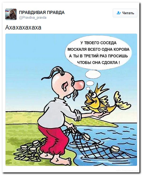 "Мыздобулы" в картинках. Смешных и не очень... 31-07-2016