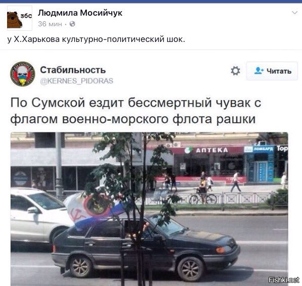 "Мыздобулы" в картинках. Смешных и не очень... 31-07-2016