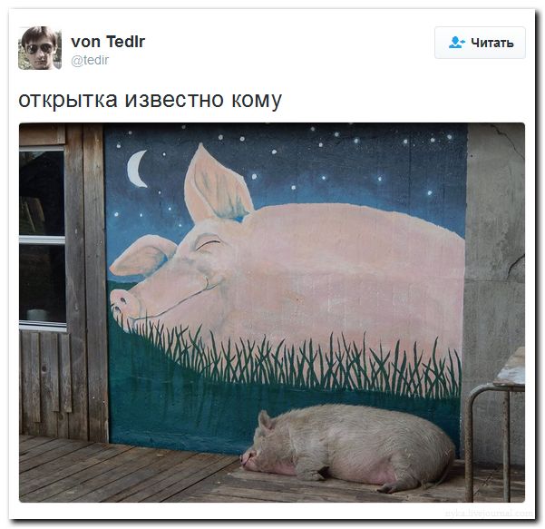 "Мыздобулы" в картинках. Смешных и не очень... 31-07-2016