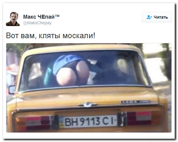 "Мыздобулы" в картинках. Смешных и не очень... 31-07-2016