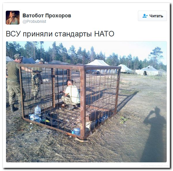 "Мыздобулы" в картинках. Смешных и не очень... 31-07-2016