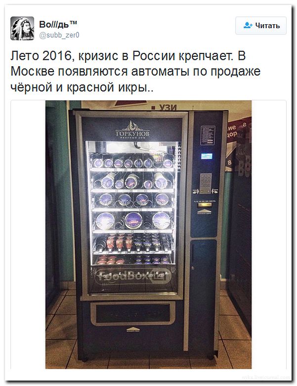 "Мыздобулы" в картинках. Смешных и не очень... 31-07-2016