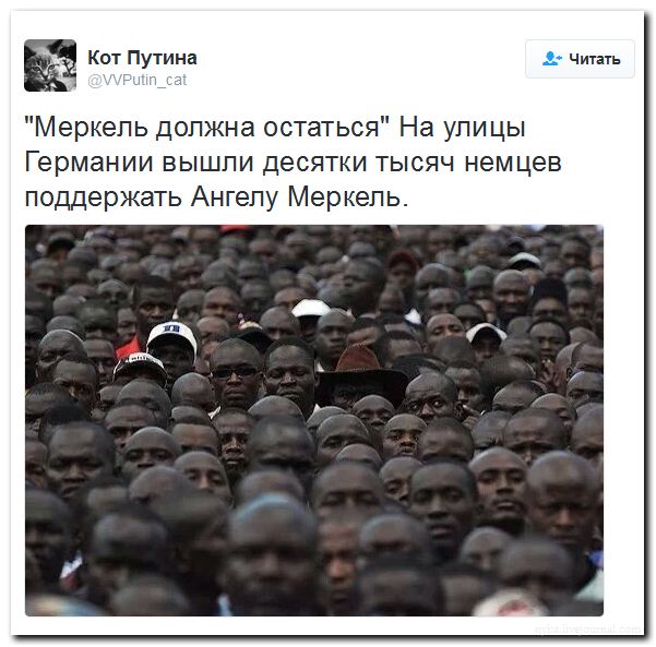 "Мыздобулы" в картинках. Смешных и не очень... 31-07-2016