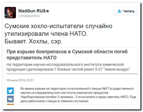 "Мыздобулы" в картинках. Смешных и не очень... 31-07-2016