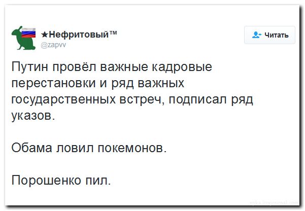 "Мыздобулы" в картинках. Смешных и не очень... 31-07-2016