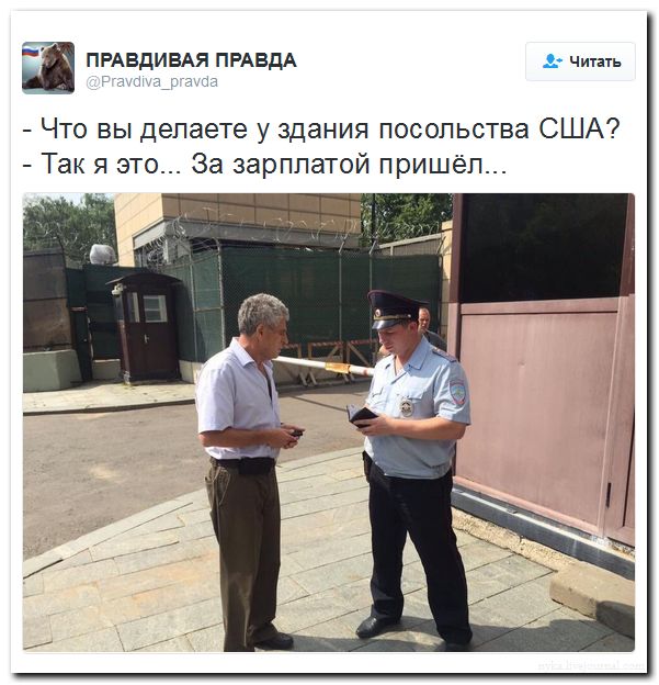 "Мыздобулы" в картинках. Смешных и не очень... 31-07-2016