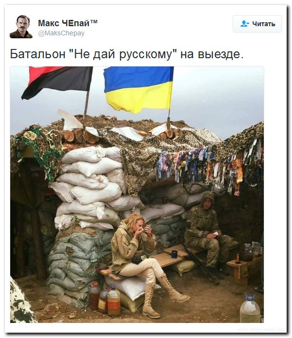 "Мыздобулы" в картинках. Смешных и не очень... 31-07-2016