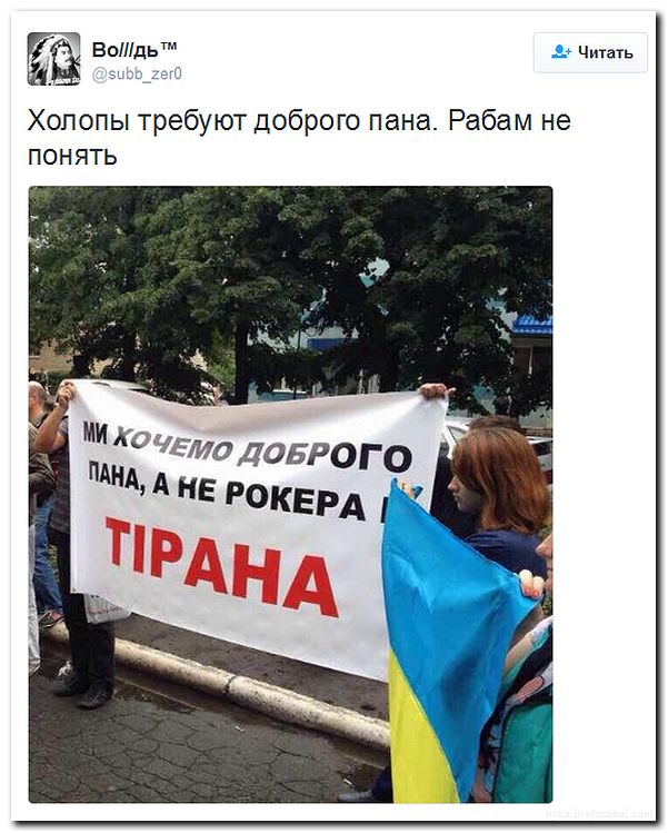 "Мыздобулы" в картинках. Смешных и не очень... 31-07-2016