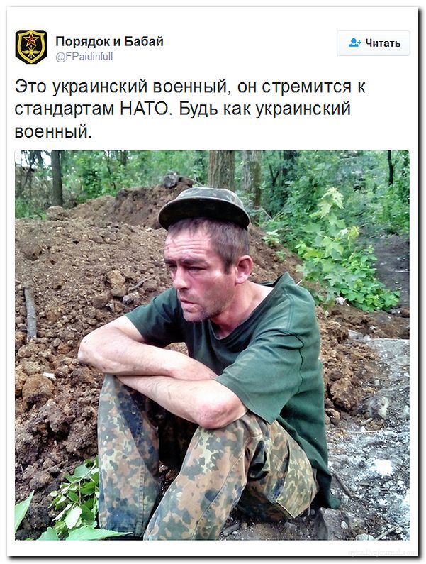 "Мыздобулы" в картинках. Смешных и не очень... 31-07-2016